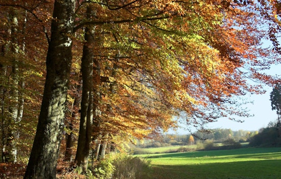 Indianapolis Enjoys an Indian Summer with Temperatures Set to Hit Near 90 Degrees