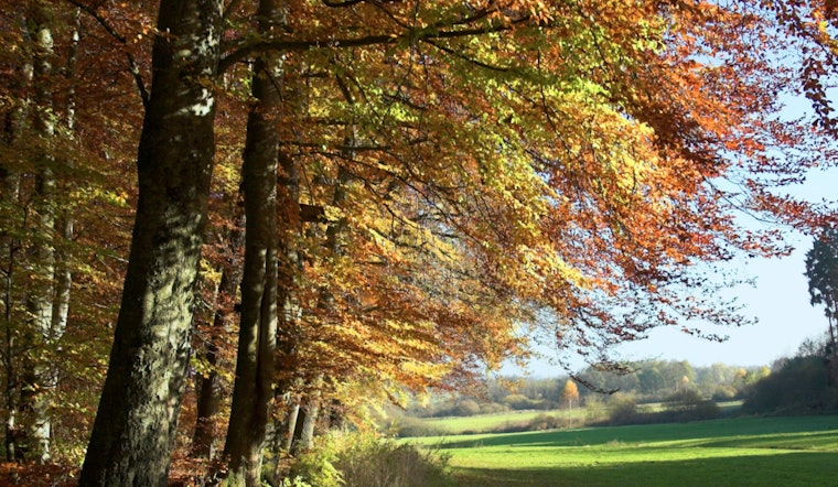 Indianapolis Enjoys an Indian Summer with Temperatures Set to Hit Near 90 Degrees