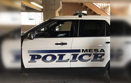 Infant Fatality and Multiple Injuries in Tragic Mesa Road Collision