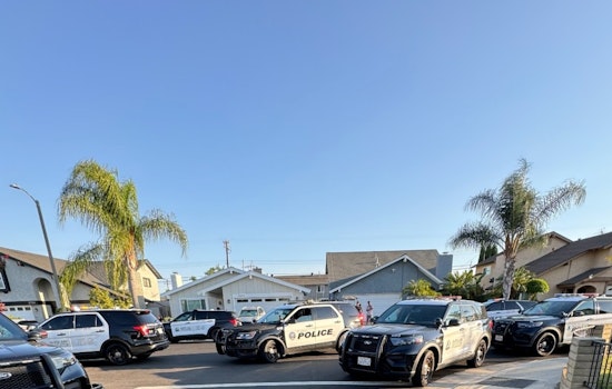 Irvine Police Nab 3 Suspects from South American Theft Groups After Home Invasion and High-Speed Chase; 2 Still At Large