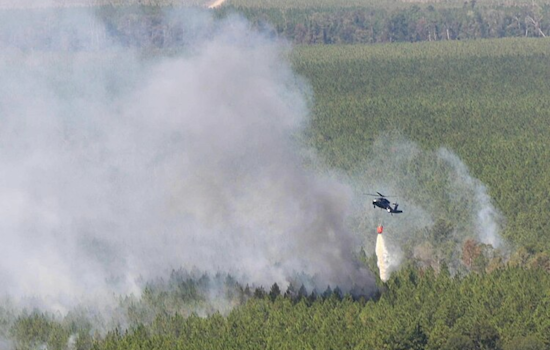 Jefferson County Seeks Resident Input to Strengthen Wildfire Defense Plans