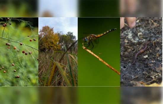 Join the Citizen Science Movement at Theodore Wirth Park's BioBlitz in Minneapolis