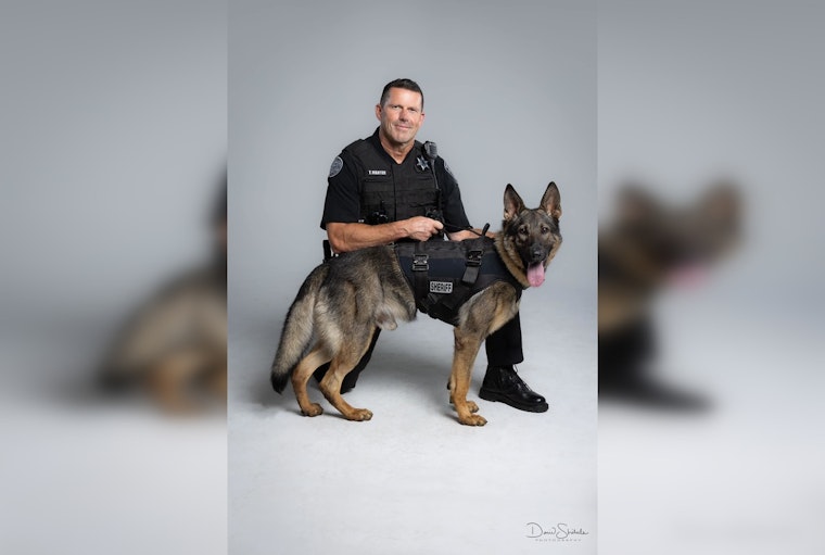 K9 Metal and Plymouth Police Collaborate to Successfully Apprehend Fugitive in Rugged Terrain