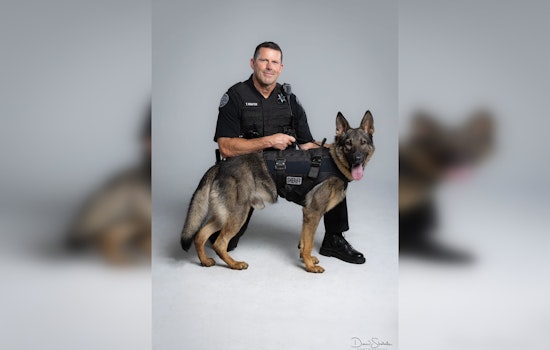 K9 Metal and Plymouth Police Collaborate to Successfully Apprehend Fugitive in Rugged Terrain
