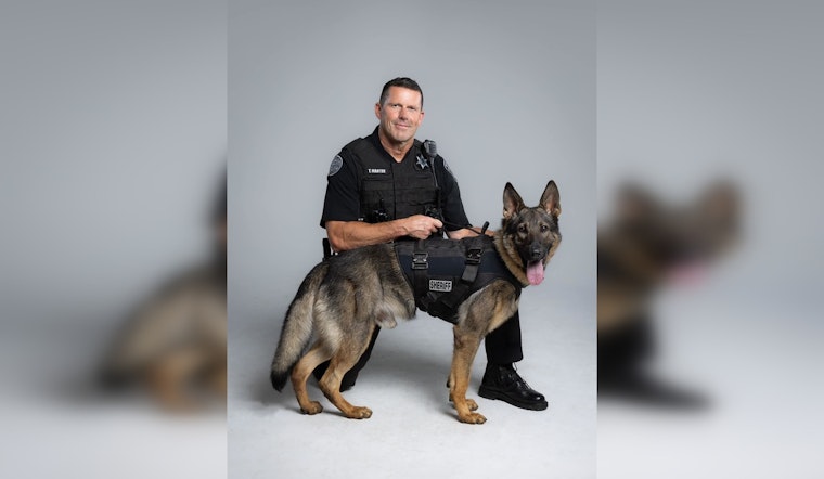 K9 Metal and Plymouth Police Collaborate to Successfully Apprehend Fugitive in Rugged Terrain