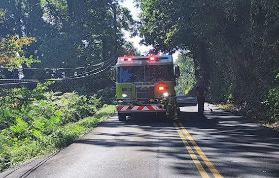 Knoxville Road Closed Following Fatal Powell Crash, Authorities Investigate