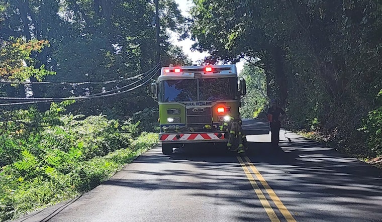 Knoxville Road Closed Following Fatal Powell Crash, Authorities Investigate