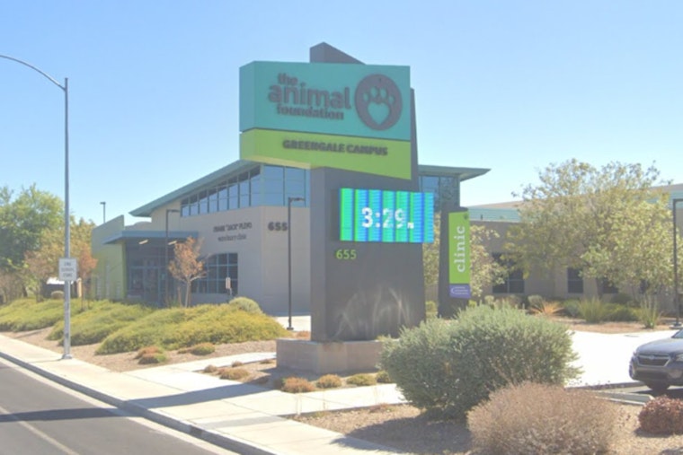Las Vegas Animal Foundation Offers $200 Incentive to Foster Dogs Amid Overcrowding Challenge