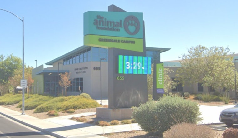 Las Vegas Animal Foundation Offers $200 Incentive to Foster Dogs Amid Overcrowding Challenge