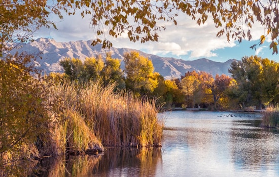 Las Vegas Community Alarmed by Potential Toxicity at Floyd Lamb Park's Ponds Amid Dead Wildlife Sightings
