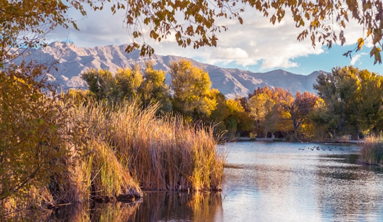 Las Vegas Community Alarmed by Potential Toxicity at Floyd Lamb Park's Ponds Amid Dead Wildlife Sightings