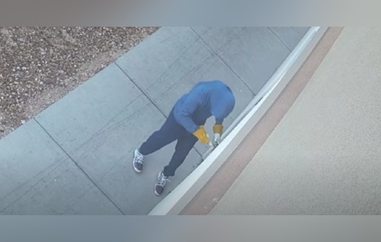 Las Vegas Police Seek Public Help to Identify Suspect in Series of Business Burglaries