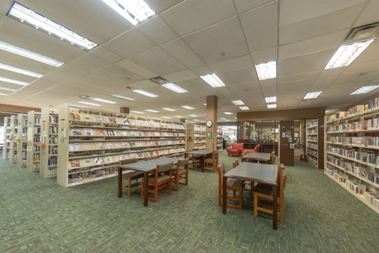 League City Council Vote Ends in Tie, "Big Wig" Stays in Children's Section at Helen Hall Library