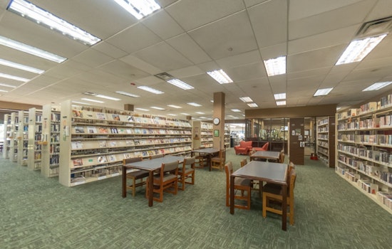League City Council Vote Ends in Tie, "Big Wig" Stays in Children's Section at Helen Hall Library