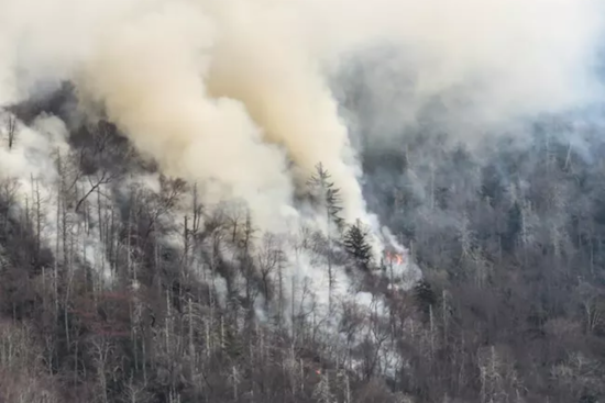 Lightning Strike Ignites 17-Acre Flint Gap Fire in Great Smoky Mountains, Containment Efforts Underway