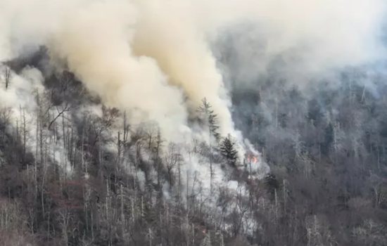 Lightning Strike Ignites 17-Acre Flint Gap Fire in Great Smoky Mountains, Containment Efforts Underway