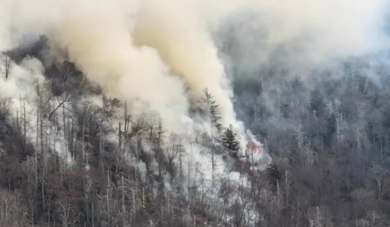 Lightning Strike Ignites 17-Acre Flint Gap Fire in Great Smoky Mountains, Containment Efforts Underway
