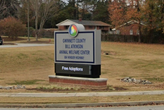Lilburn Resident Receives Prompt Treatment after Rabid Raccoon Bite, Gwinnett County Officials Urge Public Caution and Pet Vaccinations