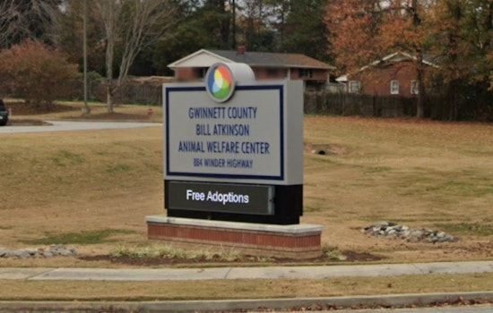 Lilburn Resident Receives Prompt Treatment after Rabid Raccoon Bite, Gwinnett County Officials Urge Public Caution and Pet Vaccinations