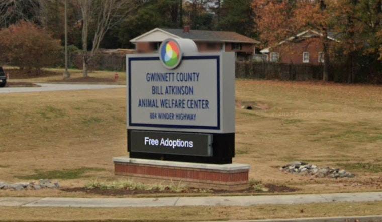 Lilburn Resident Receives Prompt Treatment after Rabid Raccoon Bite, Gwinnett County Officials Urge Public Caution and Pet Vaccinations