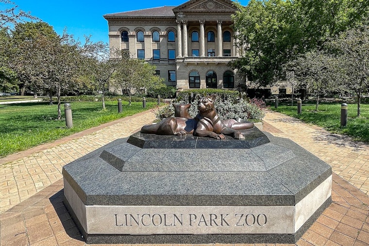 Lincoln Park Zoo's Enchanting ZooLights Returns for 30th Anniversary with New Attractions in Chicago