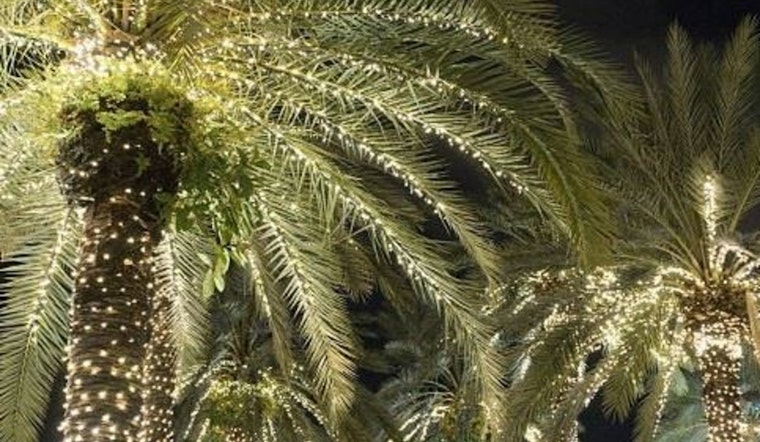 Litchfield Park to Sparkle Early with Christmas Lights on Palm and Orange Trees