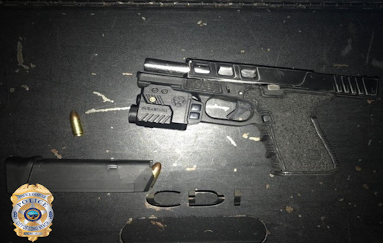 Long Beach Police Respond to Night of Violence, One Stabbing Victim and Arrests Made Following Robbery and Pursuit