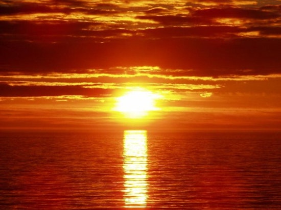 Los Angeles Gripped by Intense 115-Degree Heatwave, Excessive Heat and Air Quality Alerts in Effect