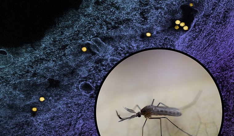 Los Angeles Reports First West Nile Virus-Related Death of the Season