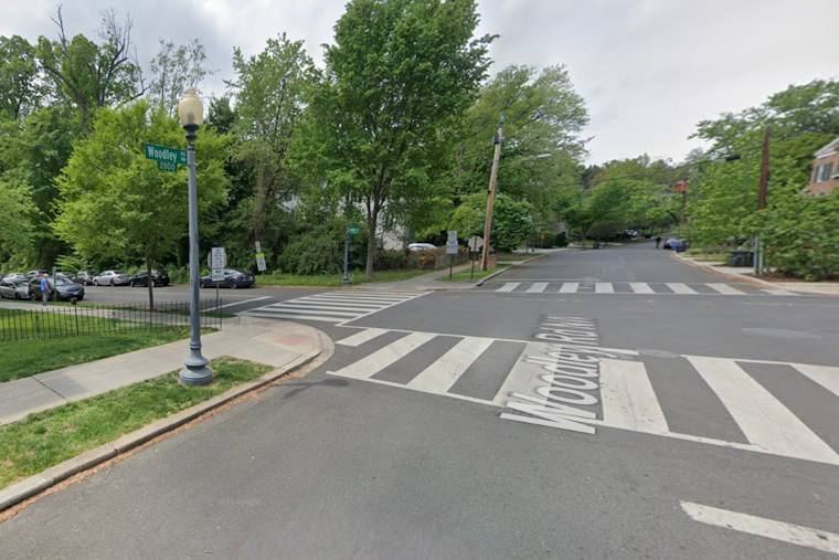 Lucky Escape for Family as Tree Branch Collapses on Car in Northwest D.C., Prompting Calls for Better Urban Tree Maintenance