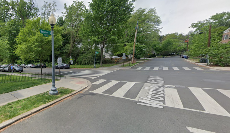 Lucky Escape for Family as Tree Branch Collapses on Car in Northwest D.C., Prompting Calls for Better Urban Tree Maintenance