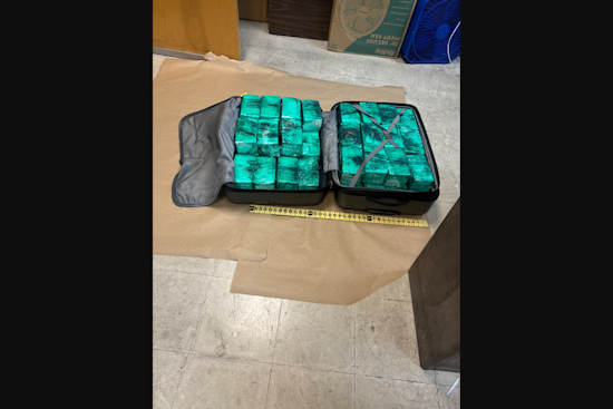 Major Heroin Bust in Pittsburgh, Over 4,600 Bricks Seized by Detectives in Fineview Neighborhood