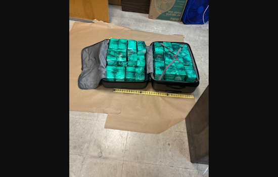Major Heroin Bust in Pittsburgh, Over 4,600 Bricks Seized by Detectives in Fineview Neighborhood