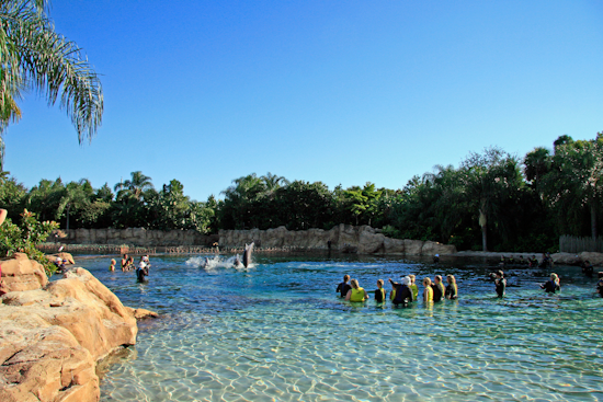 Man Dies After Being Found Unresponsive at Discovery Cove in Orlando, Investigation Underway