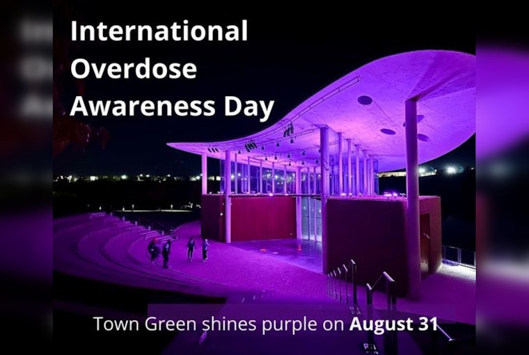 Maple Grove Honors International Overdose Awareness Day with Purple Lights at Town Green