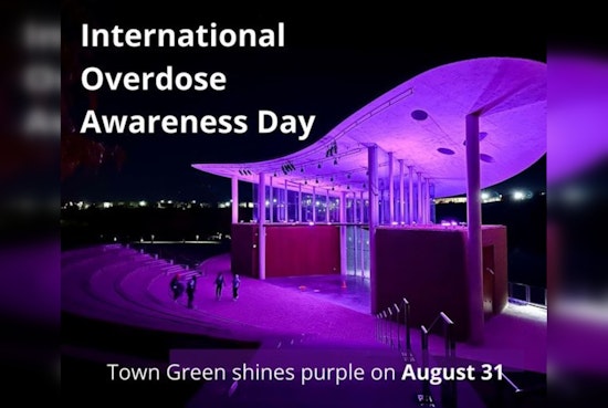 Maple Grove Honors International Overdose Awareness Day with Purple Lights at Town Green