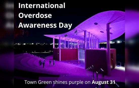 Maple Grove Honors International Overdose Awareness Day with Purple Lights at Town Green
