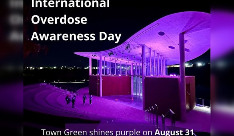 Maple Grove Honors International Overdose Awareness Day with Purple Lights at Town Green