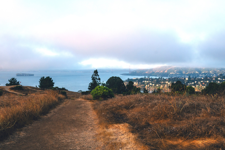 Marin County Scores Major Environmental Victory with Expansion of Old Saint Hilary's Open Space Preserve