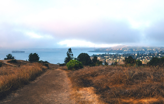 Marin County Scores Major Environmental Victory with Expansion of Old Saint Hilary's Open Space Preserve