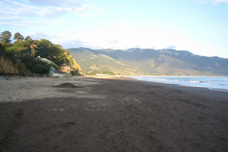 Marin County's Bolinas Beach Shuttered Due to Sewage Leak, Sparking Environmental Health Concerns