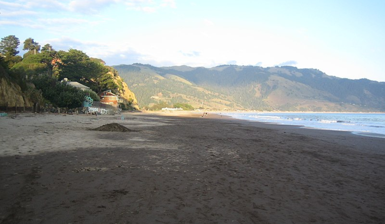 Marin County's Bolinas Beach Shuttered Due to Sewage Leak, Sparking Environmental Health Concerns