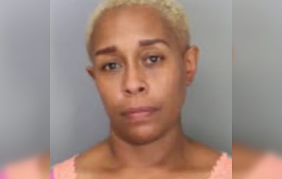 Memphis Woman Charged for Recklessly Discharging Firearm Amidst Alleged Car Theft Attempt
