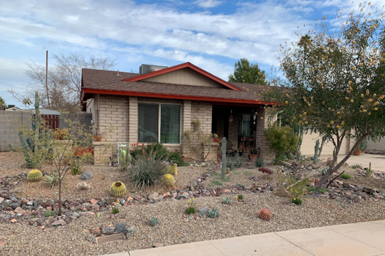 Mesa Encourages Drought-Resistant Yards with Rebates Up to $70,000 Through Grass-to-Xeriscape Program