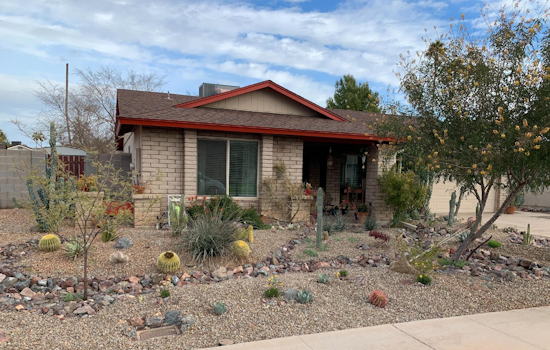 Mesa Encourages Drought-Resistant Yards with Rebates Up to $70,000 Through Grass-to-Xeriscape Program