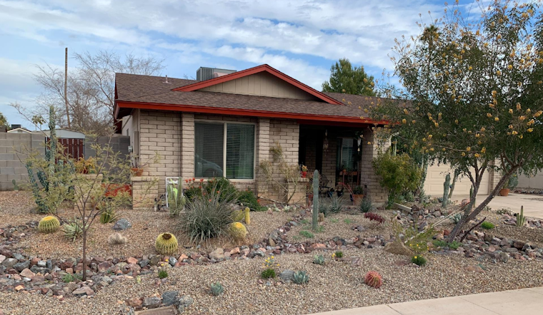 Mesa Encourages Drought-Resistant Yards with Rebates Up to $70,000 Through Grass-to-Xeriscape Program