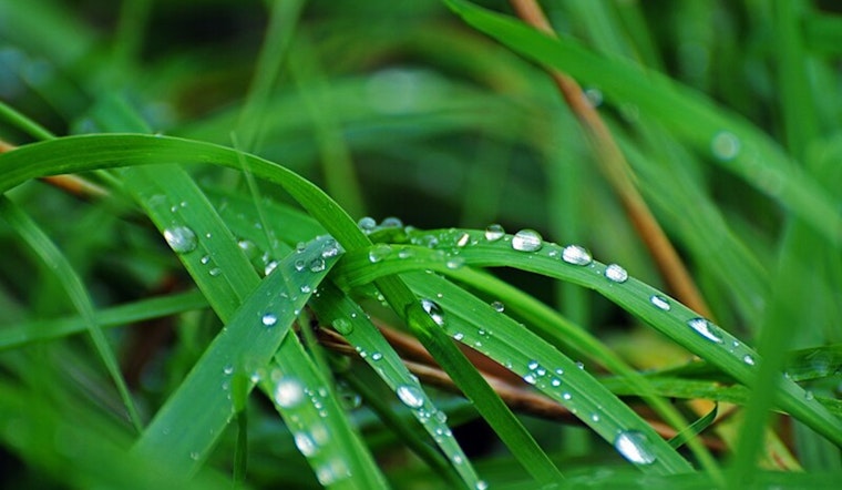 Mesa Mobilizes for Sustainability, City Begins Major Water-Saving Landscaping Overhaul