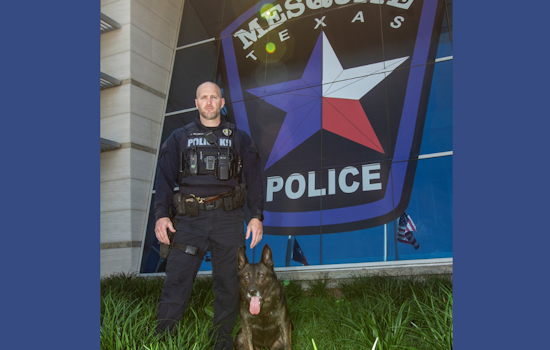 Mesquite's Legendary K9 Axel Retires After 7 Years of Dedication to Law Enforcement