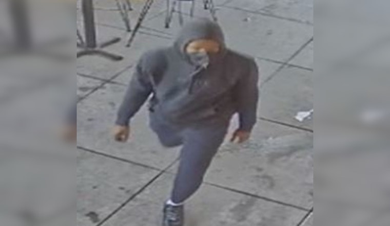 Metropolitan Police Seek Assistance in Identifying Burglary and Armed Robbery Suspect in Northwest DC