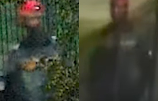 Metropolitan Police Seek Help Identifying Individual in Southeast Homicide Case